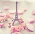 /album/clik-clik-photos-pictures/a1416714765-5-qxxt-jpeg/